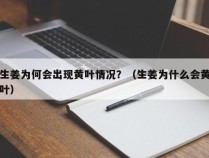 生姜为何会出现黄叶情况？（生姜为什么会黄叶）