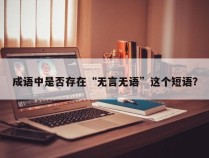 成语中是否存在“无言无语”这个短语？