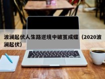 波澜起伏人生路逆境中破茧成蝶（2020波澜起伏）