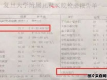 为什么血象高引起反复发烧？