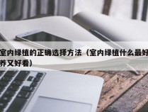 室内绿植的正确选择方法（室内绿植什么最好养又好看）