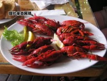 美味小龙虾的特殊烹饪方式（小龙虾特殊做法）
