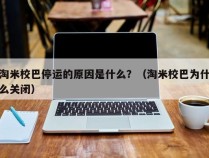 淘米校巴停运的原因是什么？（淘米校巴为什么关闭）