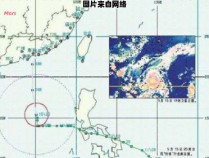 珍珠台风发生于哪一年？