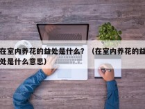 在室内养花的益处是什么？（在室内养花的益处是什么意思）