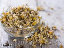 决明子与菊花泡水的健康益处是什么?