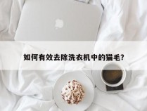 如何有效去除洗衣机中的猫毛？