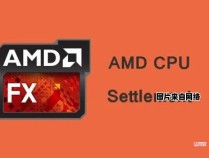 AMD CPU是否兼容N卡的显卡？