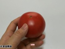 西红柿有什么快速去皮的方法？