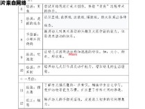 小班美术课程中的创意滑滑梯教学计划