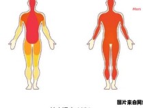 锻炼极端温度下的益处远不止你所知