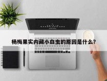 杨梅果实内藏小白虫的原因是什么？