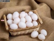 鸽子蛋的营养如何对身体有益