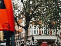 上海街道居民可以查询的居委会信息