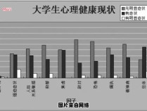 大学生心理健康的重要性及其对生活的意义