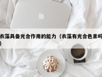 衣藻具备光合作用的能力（衣藻有光合色素吗）