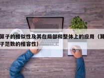 算子的相似性及其在局部和整体上的应用（算子范数的相容性）