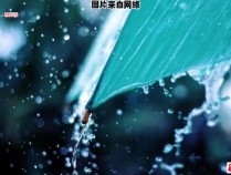 有什么说法关于入伏时节下雨的意义