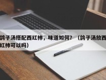 鸽子汤搭配西红柿，味道如何？（鸽子汤放西红柿可以吗）