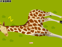 长颈鹿的睡眠习惯及其持续时间如何？