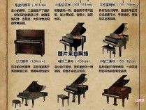 钢琴属于哪个类别？