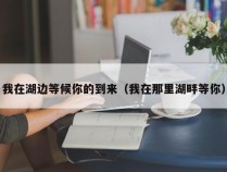 我在湖边等候你的到来（我在那里湖畔等你）