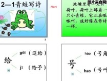 关于青蛙拼音的正确写法