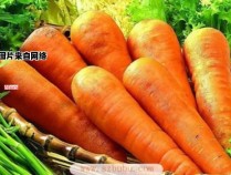 红萝卜的益处及其对人体的作用