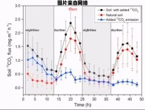 二氧化碳结合力减弱的原因是什么