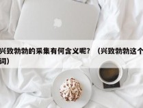 兴致勃勃的采集有何含义呢？（兴致勃勃这个词）