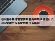 河豚迫不及待地想要攀登高峰的渴望是什么 河豚想跳出水面似的是什么原因