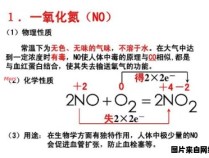 化学术语NO的含义是什么？