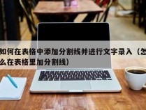 如何在表格中添加分割线并进行文字录入（怎么在表格里加分割线）