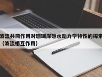 波流共同作用对珊瑚岸礁水动力学特性的探索（波流相互作用）