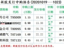 新股中签后的缴款流程是怎样的？