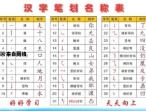 如何理解汉字的笔顺编号