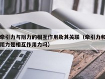 牵引力与阻力的相互作用及其关联（牵引力和阻力是相互作用力吗）