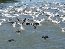 长江之水奔流不息的歌颂