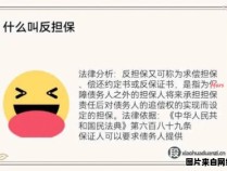 了解反担保的定义和含义