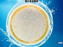 滤水器的过滤功能是否包括寄生虫卵？