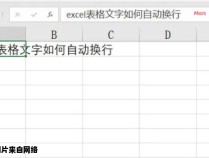 Excel中的单元格如何实现文字自动换行