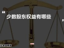 少数股东权益的定义和作用是什么