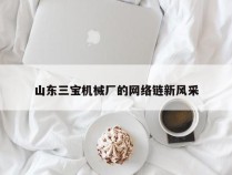 山东三宝机械厂的网络链新风采