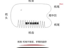 携手砭石，发掘梳子的正确使用方式