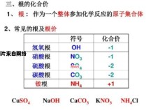 硝酸根离子的氧化价数