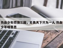 热血少年燃情三国，无畏天下只为一人 热血少年啥意思