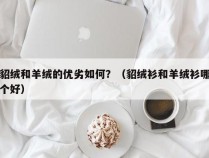 貂绒和羊绒的优劣如何？（貂绒衫和羊绒衫哪个好）