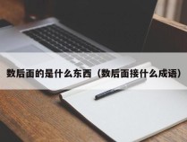 数后面的是什么东西（数后面接什么成语）