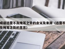 成语迅雷不及掩耳之势的含义及来源（迅雷不及掩耳之势的意思）