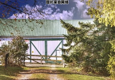 三魁镇中心小学位于泰顺县 三魁镇中心小学校长是谁